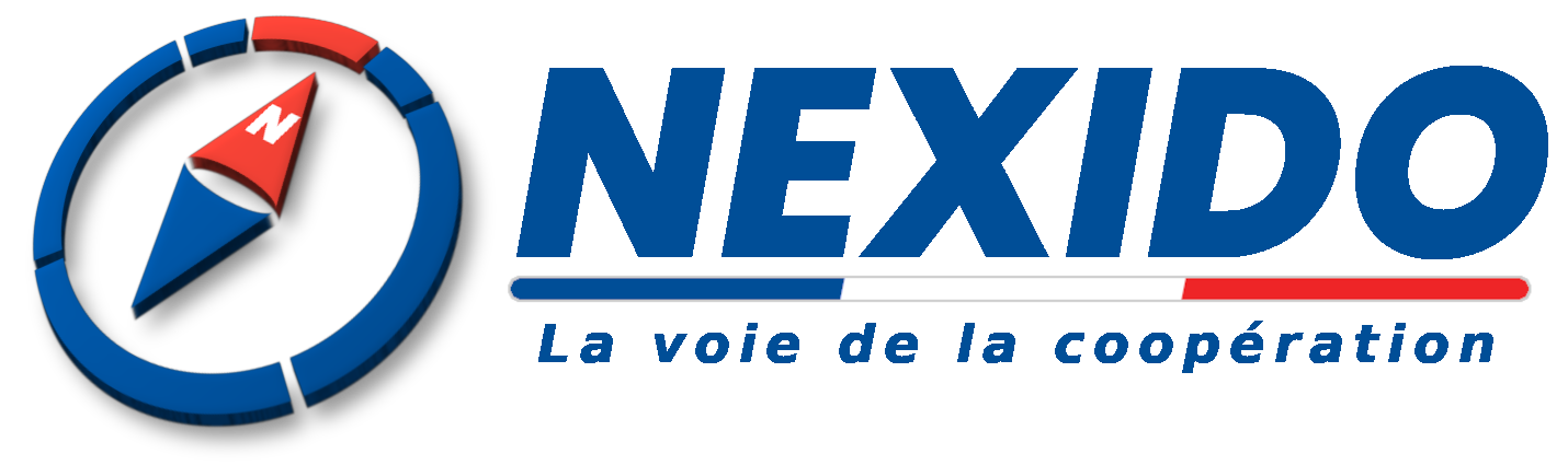 Nexido, expert en gestion de projets